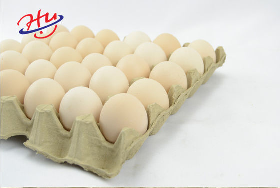 Цена оборудования автоматического подноса пульпы подноса кофе подноса плода подноса яйца отливая в форму