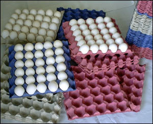 Прессформа машины подноса яйца бумаги машины для упаковки яйца 153KW