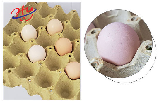 Biodegradable поднос яйца бумаги прессформы делая машину 153KW